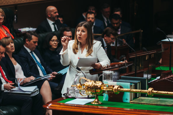 Industrial Relations Minister Sophie Cotsis said the government’s Bill would fulfill an election promise to abolish the public sector wage cap