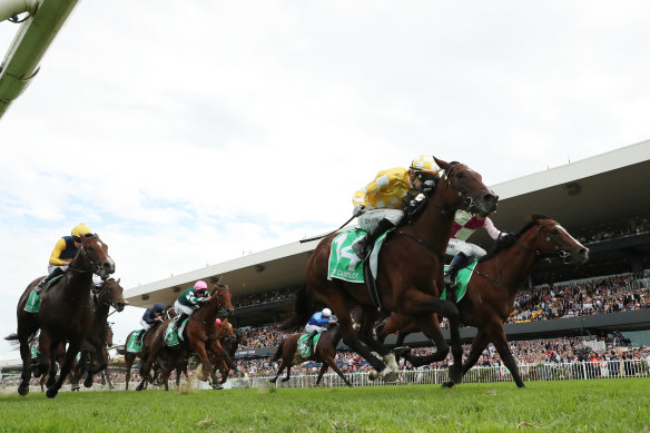 Lady Of Camelot takes out the Golden Slipper ahead of Storm Boy (far left) a fortnight ago.