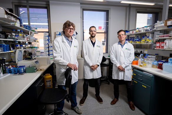 The WEHI research team (left to right)  Professor David Komander, Marco Jochem and Dr Simon Cobbold.