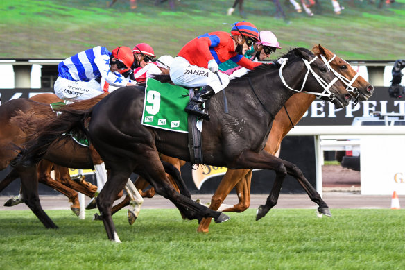 Verry Elleegant (outside) proved just too good in the Turnbull Stakes at Flemington on Saturday, spearheading a trifecta in the race for trainer Chris Waller.