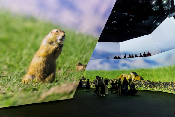 Earth Experience is a multimedia exhibition with animals and experiences from all seven continents.