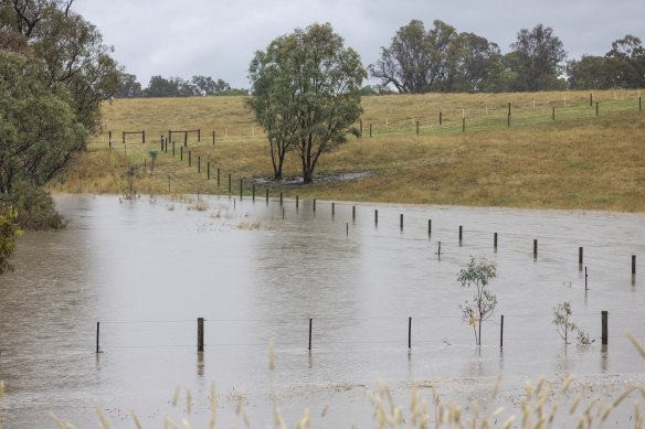 The Goulburn River, pictured at Hilldene, is rising rapidly. 