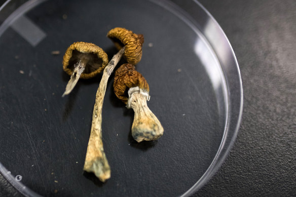 HPPD is mainly associated with LSD and psilocybin (aka “magic mushrooms”) but also MDMA, ketamine and marijuana.