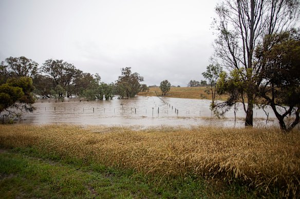 The Goulburn River, pictured at Hilldene. 