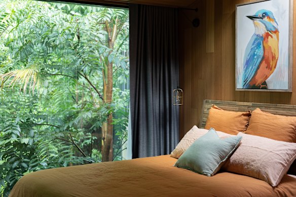 A studio cabin featuring rainforest views.