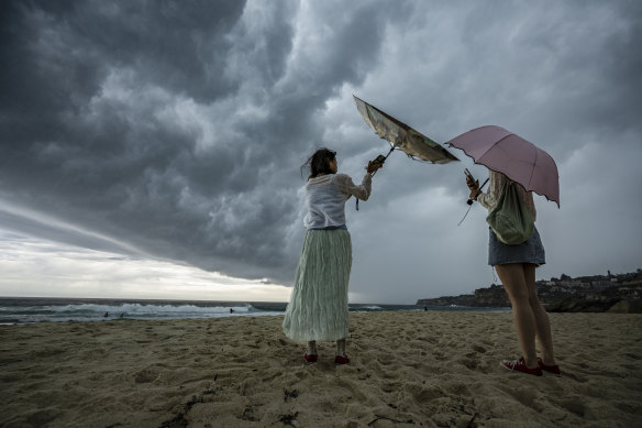 Beach days for the rest of January are under a cloud, with above-average rain expected for NSW.