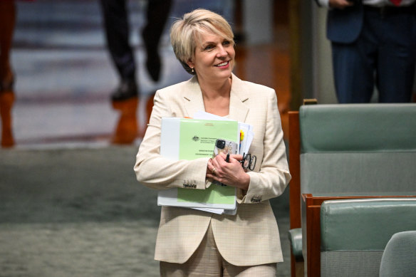 Tanya Plibersek has spoken about the risks of social media and artificial intelligence.