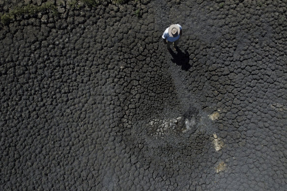 A dry dam where an animal got stuck and died late last year. 