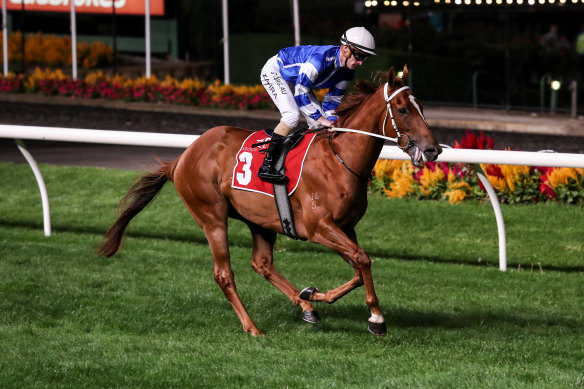 Lightning Stakes winner Gytrash is a $15 chance for The Everest.