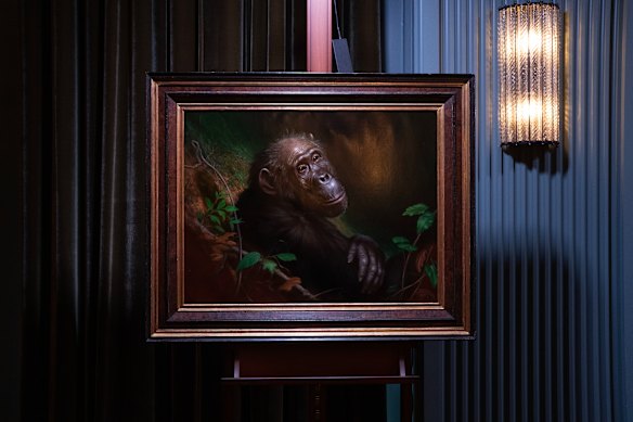 A portrait of matriarch Gremlin, the primate Goodall studied throughout much of her storied career.