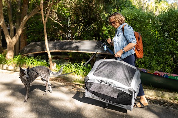 Lynne McCarthy and her dog Azule navigate a difficult journey.