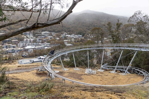 Guests enjoying the thrilling 1.4-kilometre descent along the Alpine Coaster track.