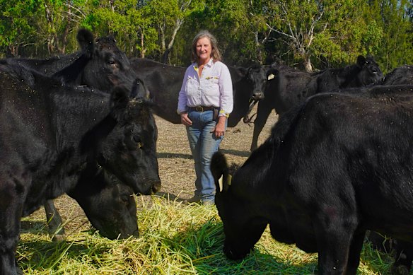 Cattle farmer Fiona Conroy at her farm in St Leonards.