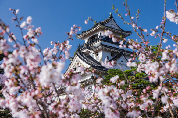 Blossom bounty - Shikoku Island.
