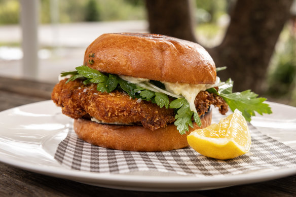 Crumbed snapper fish sandwich.
