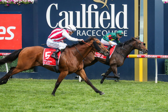 Super Seth retired to stud despite trainer's reluctance