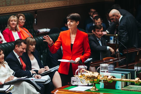 Minister for Family and Communities Kate Washington in parliament