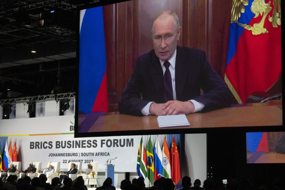 Russian President Vladimir Putin addresses leaders from the BRICS group of emerging economies at the start of a three-day summit in Johannesburg, South Africa.