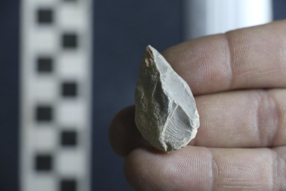 A stone tool found below the Last Glacial Maximum layer from a cave in Zacatecas, central Mexico. 