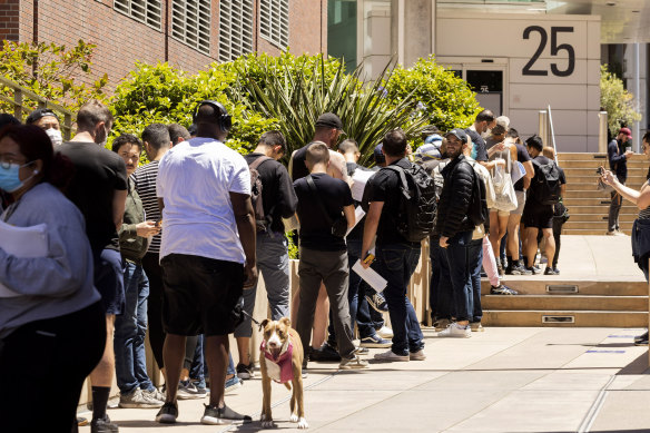 People stand in long lines to receive the monkeypox vaccine at San Francisco General Hospital this week.