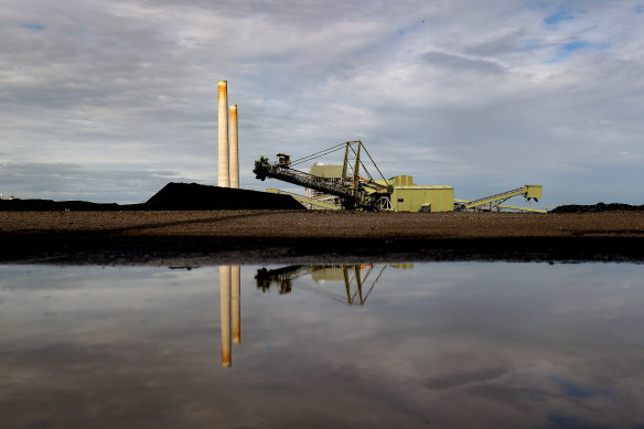 A coal stockpile at Eraring Power Station in NSW.