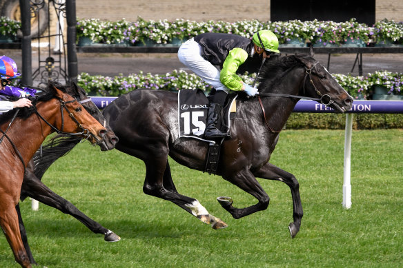 Jye McNeil steers Persan to victory in The Bart Cummings at Flemington on Saturday to earn a Melbourne Cup start.