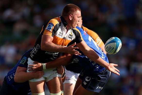 Charlie Cale playing for the Brumbies earlier this month.