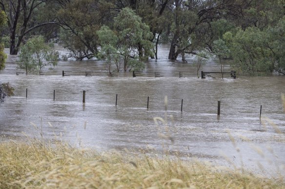 The Goulburn River, pictured just outside Seymour, is rising quickly.