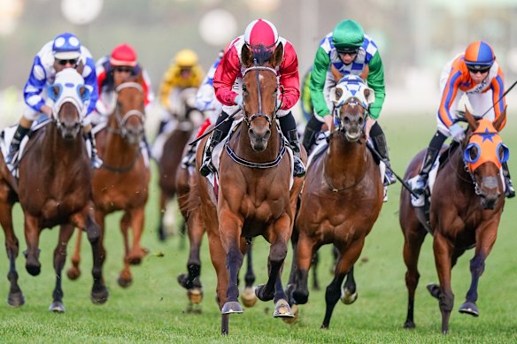 Jockey Luke Currie and Arcadia Queen on the way to victory at the Mackinnon Stakes. 