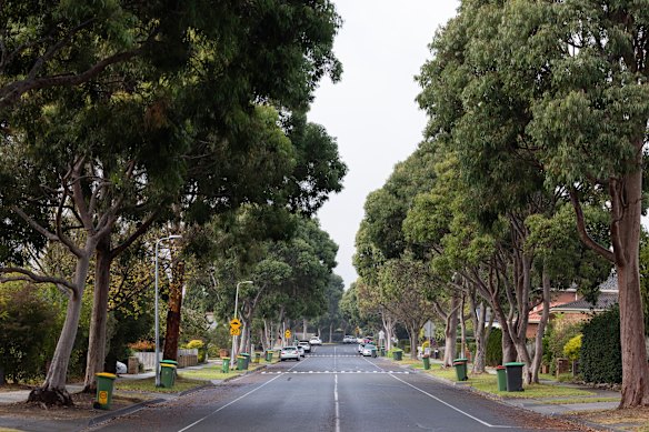 Buckingham Street in Rowville, where mature native trees have been investigated for removal. 