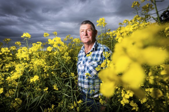 Frank Deane with his canola crop.