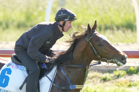 Glen Boss has a gallop on Sir Lucan at Werribee on Sunday.