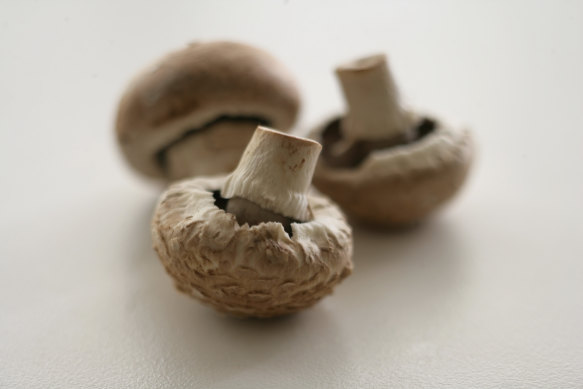 Leading scientists have accused a major university of overhyping an industry-sponsored study about the immune-boosting powers of mushrooms.