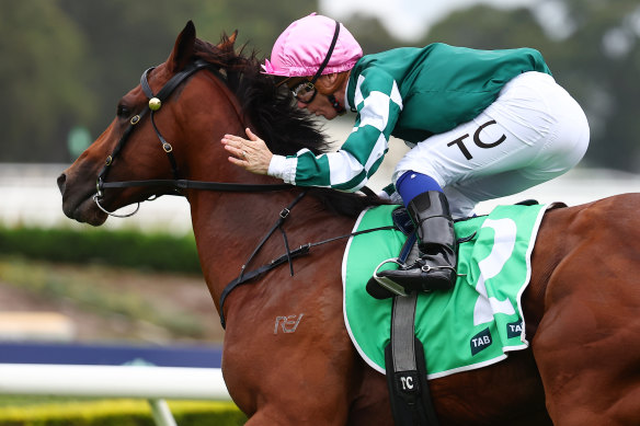 Tim Clark gives Straight Charge a pat after he won the Silver Slipper.