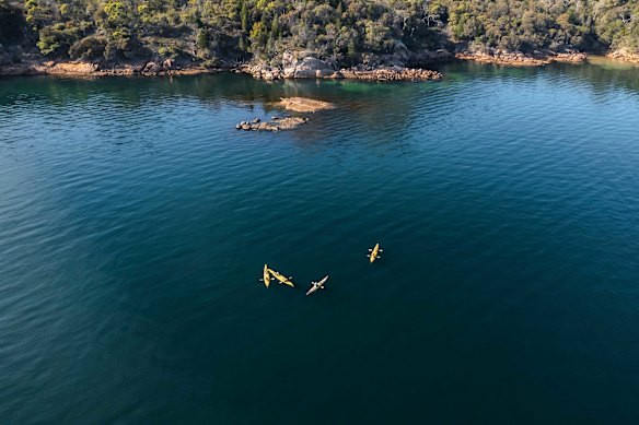 Kayak the region’s many sparkling bays on a tour with Freycinet Adventures.