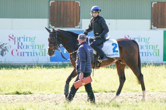 Spanish Mission failed two vet tests but was eventually passed fit to run in this year’s Melbourne Cup.