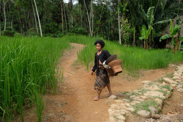 A Baduy woman carrying handmade baskets walks out of one of the outer Baduy villages in Banten province.