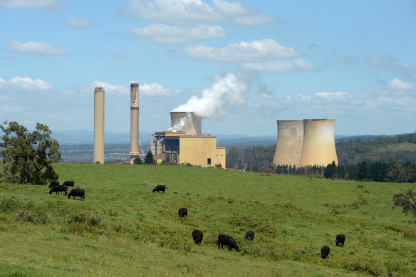 EnergyAustralia has been fined for the 2018 death of a worker at Yallourn power station.