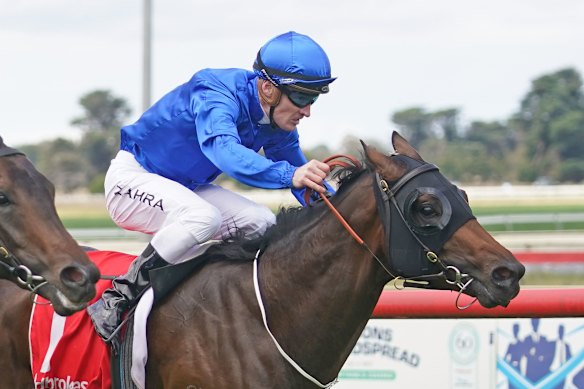Waugh planning to go dancing with Mudgee Cup winner Camaguey