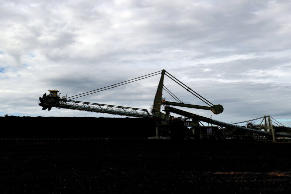 A stockpile of coal at Eraring power station.