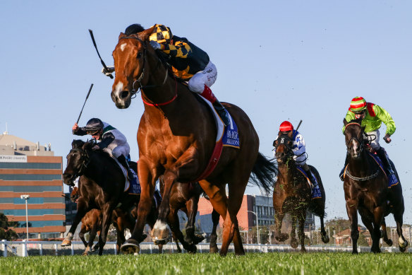  Behemoth charges to victory in the Memsie Stakes at Caulfield next month 