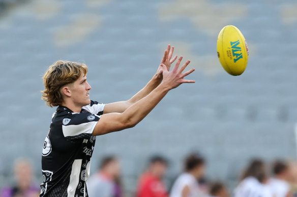 Collingwood debutante Edward Allan warms up.