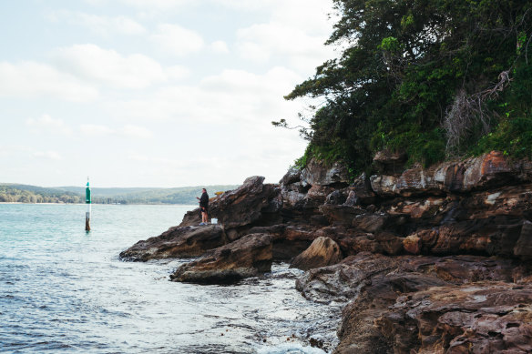 The Hungry Point headland is prized by the community because of its natural beauty, rich Aboriginal heritage, and its past use for fisheries research and as migrant hostel accommodation.