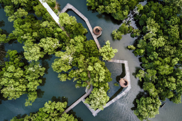 Stroll through the mangroves at Sungei Buloh Wetland Reserve.