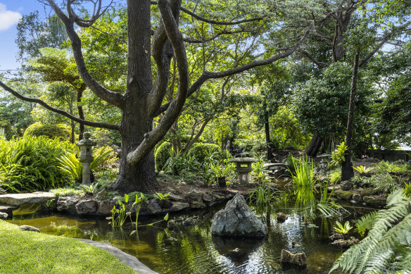 The Japanese-inspired garden and koi pond of Urunga was built on a tennis court by Sir Robert Webster.