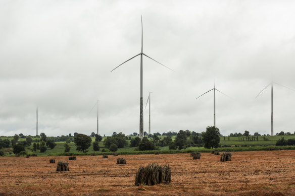 A wind farm owned by Wind Energy Holding in Nakhon Ratchasima, Thailand.
