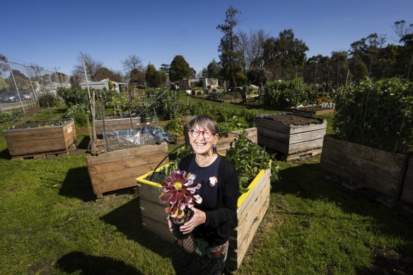 Cathy McCallum runs a community garden.