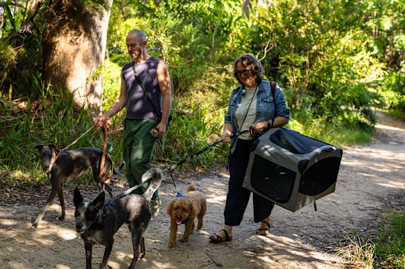 Dog owners on the island are petitioning for a rethink of the policy.