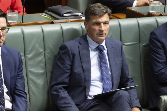 Angus Taylor has backed the opposition leader’s comments comparing the Port Arthur massacre to pro-Palestinian protests.