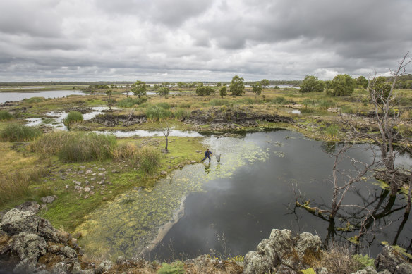 The Gunditjmara people engineered their land by building a complex system of weirs, channels and lakes upon the lava flows that run from Budj Bim to the sea.